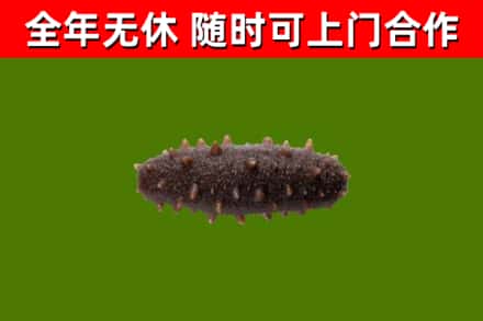 樟木头镇烟酒回收干海参.jpg